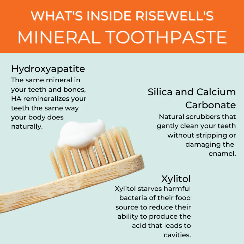 Mineral Toothpaste | Wild Mint