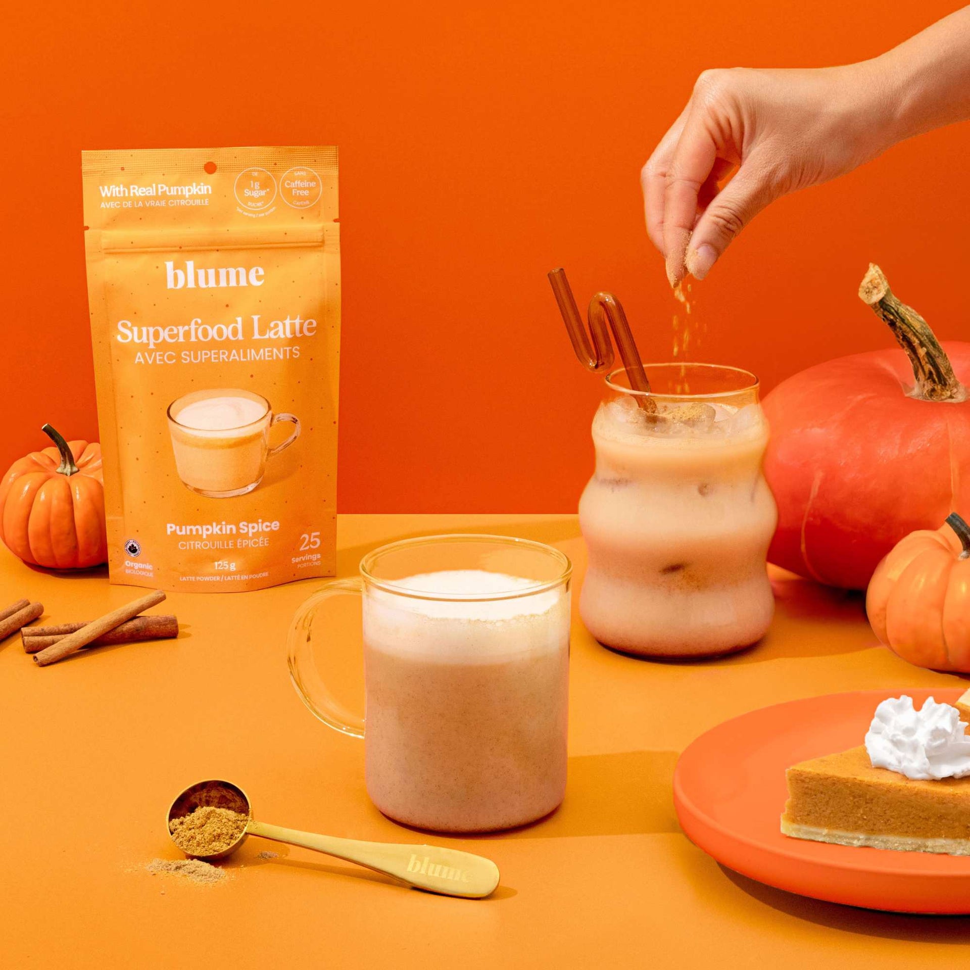 Pumpkin Spice Latte Blend | Seasonal