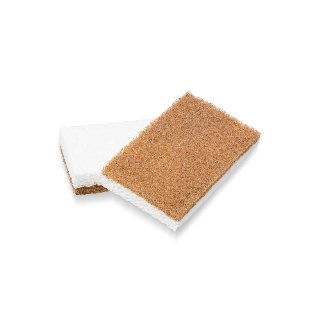 Walnut Scrubber Sponge (2 Pack)