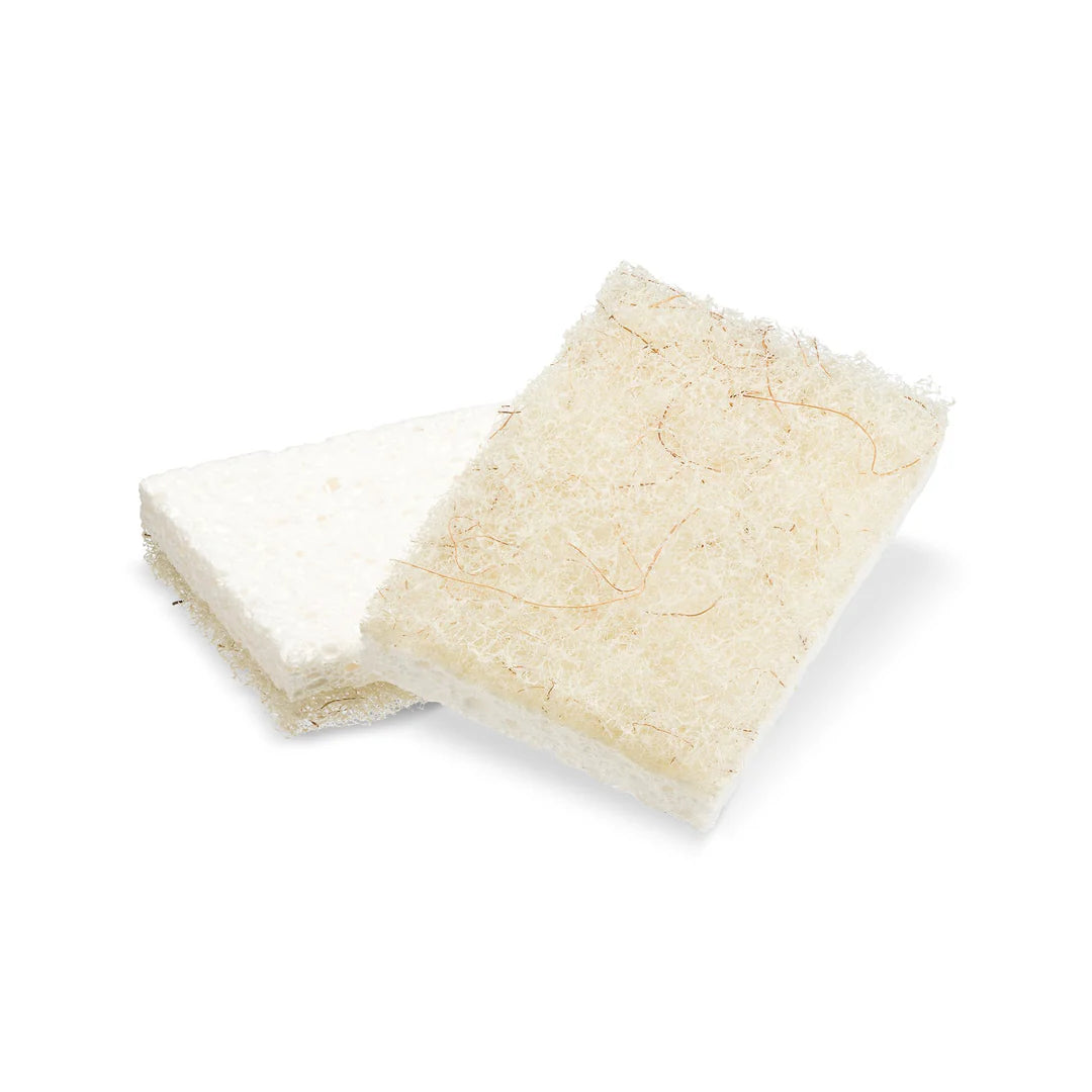 Abrasive Coconut Scrubbing Sponges (2 Pack)