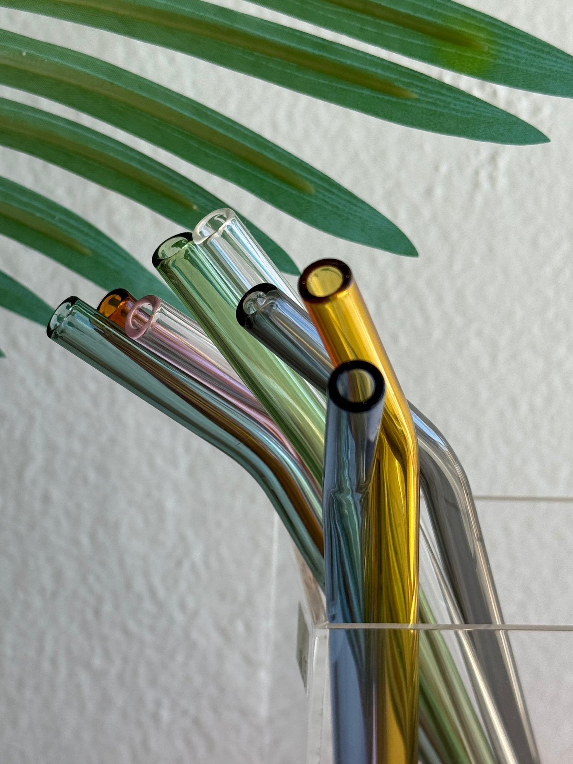 8" Angled Glass Straw