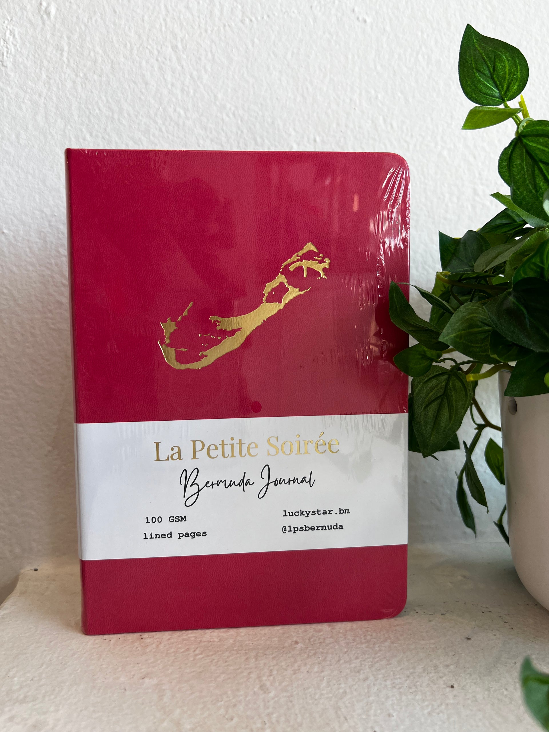 Bermuda Map Lined Journal