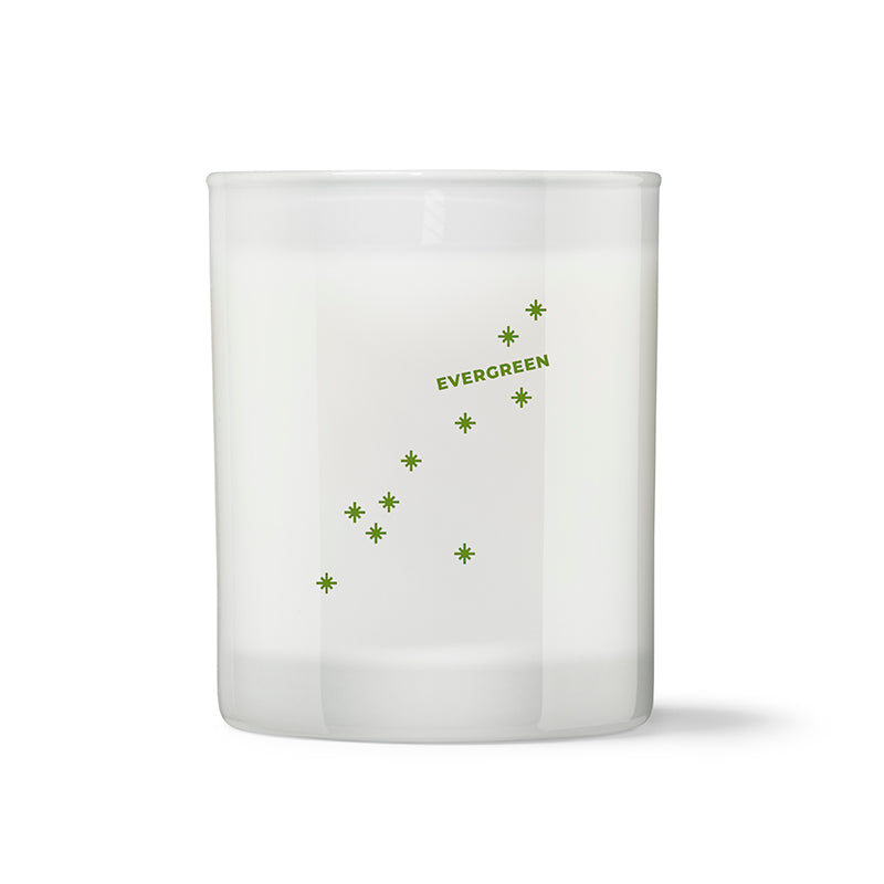 Evergreen Candle | Balsam Fir & Cedar