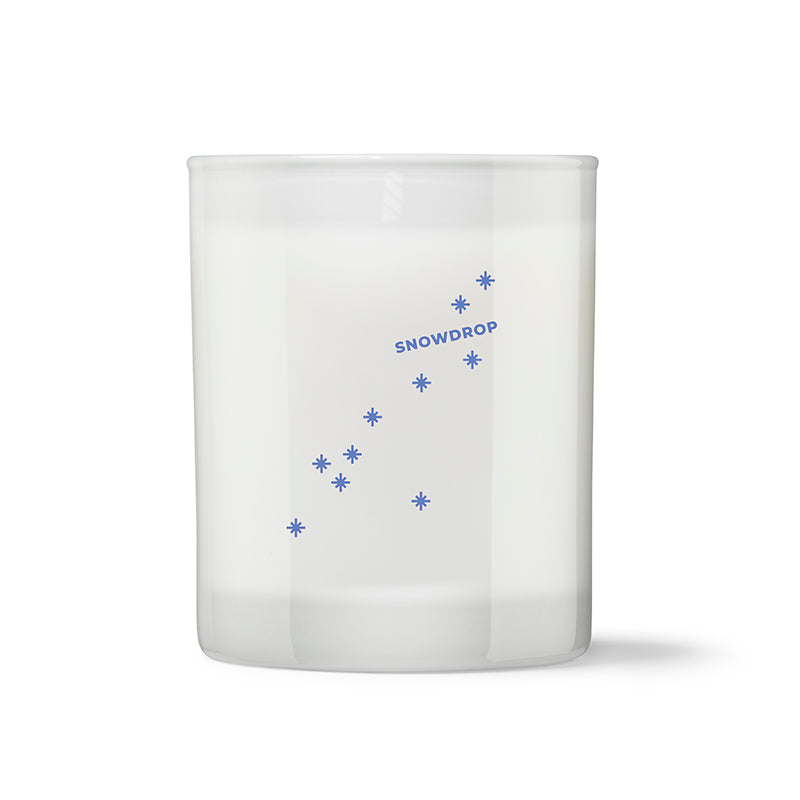 Snowdrop Candle | Wild Ivy & Mint