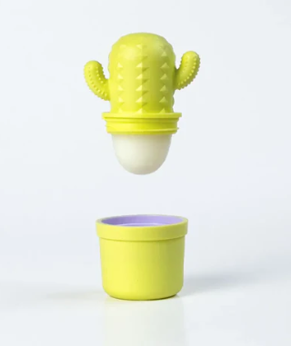 Cactus Lip Balm