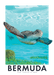 Bermuda Greeting Card | Blank (4688769155143)
